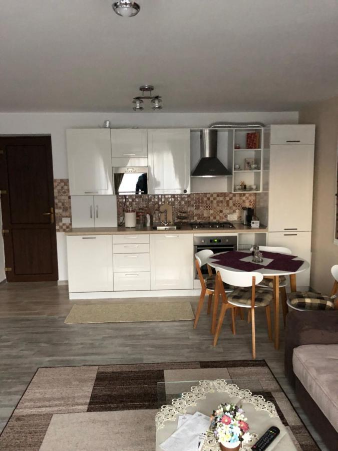 Aleria De Piatra Aparthotel Piatra Neamţ Buitenkant foto